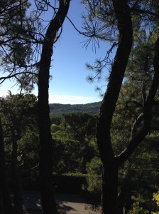 From the deck. Can anyone tell me this doesn't look perfect?