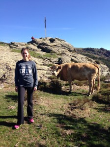 We ran into a few cows towards the top of the mountain.