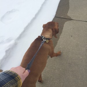 Evidence of a failed walk